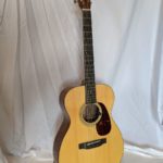 Martin 00-21